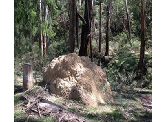 Terminate Pty Ltd - Bourkelands, NSW