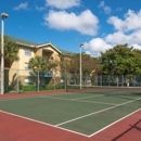 Palm Trace Landings Apartments - Apartments