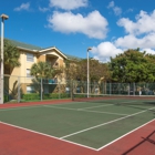 Palm Trace Landings Apartments