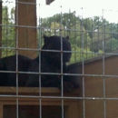 Pocono Snake & Animal Farm - Zoos