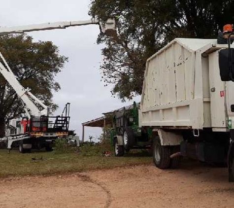 Mildura Tree Services - Mildura, VIC