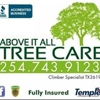 Above It All Tree Care gallery