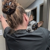 VCA North Idaho Animal Hospital gallery