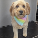 Broadmore Pet Retreat - Hostels