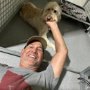 Doghouse at Lake Oconee
