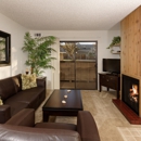 Chaparral Apartments - Apartments