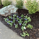 Arbor Care Experts - Arborists