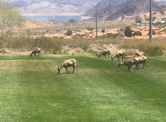 Hemenway Park - Boulder City, NV