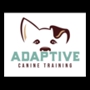 Adaptive Canine Training