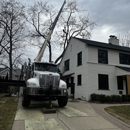 JCS Tree Care Professionals - Tree Service