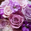 Phillip's Flowers & Gifts gallery
