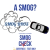 Smog Bros gallery