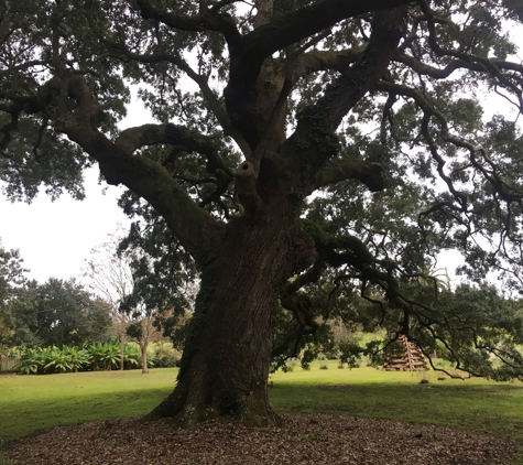 Laura Plantation - Vacherie, LA