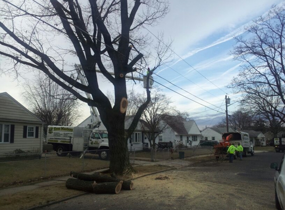 Tree & Land Masters, LLC - Berlin, NJ