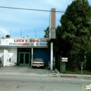 Lucky Dog Grooming Co - Pet Grooming