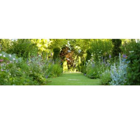 Amazing Grass Lawn Mowing