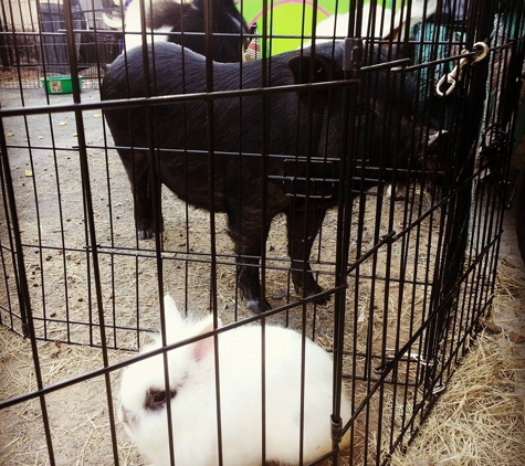 San Diego Petting Zoo - San Diego, CA