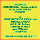 Premier Prospects Softball and Baseball Academy
