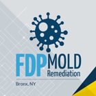 FDP Mold Remediation of Bronx