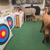 Baker's Archery Supply gallery