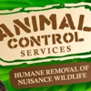 Animal Control Services gallery