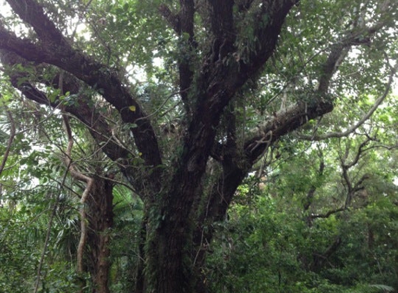 Birch State Park - Fort Lauderdale, FL