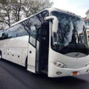Party Limo and Bus - Limousine Service
