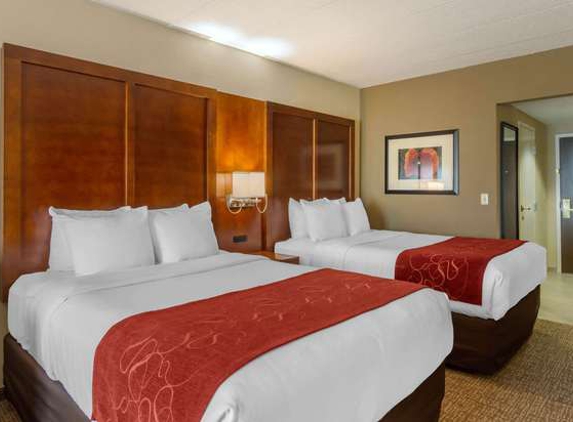 Comfort Suites Southpark - Colonial Heights, VA