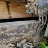 Bug-A-Meister Pest Control LLC gallery