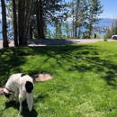 Tahoe State Recreation Area - Picnic Grounds