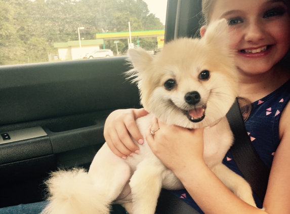 Blue Ribbon Dog Grooming - Semmes, AL