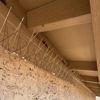 Sage Solutions Pest Control gallery