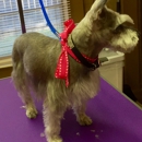 LRC Small Dog Grooming Salon & More - Dog & Cat Grooming & Supplies