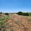 DropTine Land Clearing and Excavation gallery
