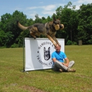 Hamilton K-9 Training & Boarding - Pet Services