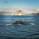 Morro Bay Boat Charters