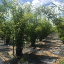 Pelton's Nurseries - Nurseries-Plants & Trees