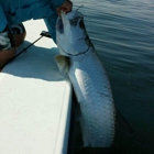 Captain Dustin Fishing Charters