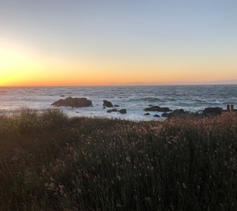 MacKerricher State Park - Fort Bragg, CA