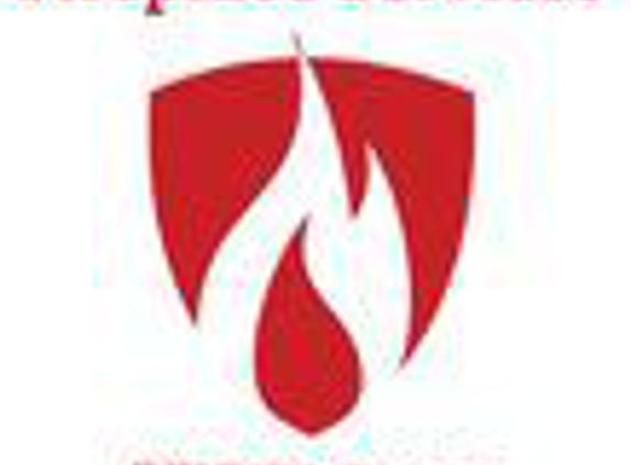 Fireplace Services, LLC - Littleton, CO