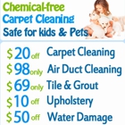 Carpet Cleaning The Woodlands TX