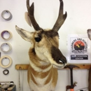 Brownsburg Taxidermy - Taxidermists