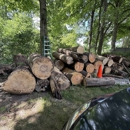 Anthony's Tree Service & Landscape