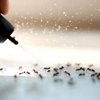Peoples Choice Pest Control gallery