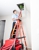 A Healthy Home - Water Damage Restoration