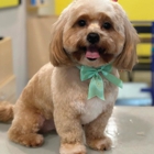 Well Groomed Pets - Raleigh