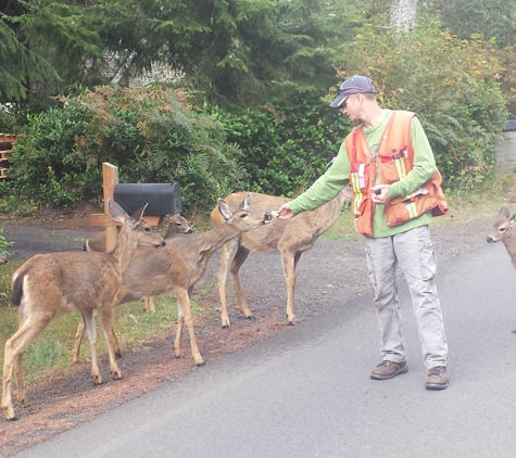 Chehalis Valley Associates  LLC - Elma, WA