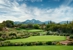 We-Ko-Pa Golf Club - Saguaro Course - Golf Courses