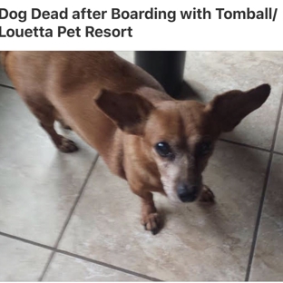 Tomball Pet Resort and Spa - Spring, TX. Died after ingesting chemical while being boarded .