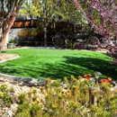 The Turf Authority - Artificial Grass